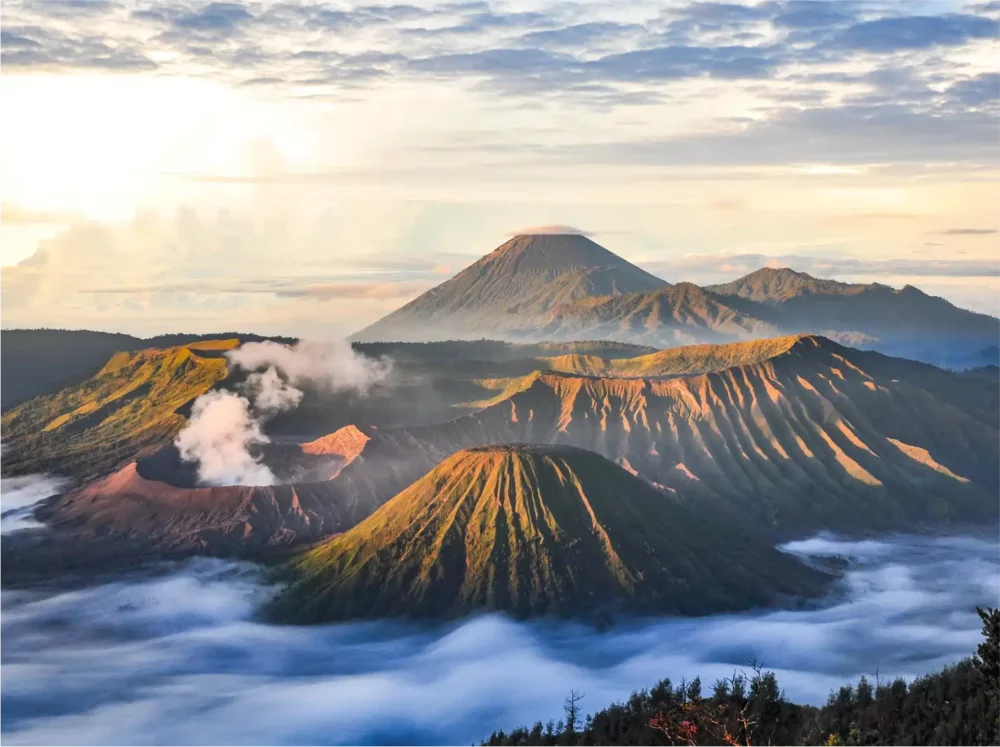 Bromo Ijen Tour - Bromo Volcano And Ijen Crater Tour Starts From Yogyakarta Drop Banyuwangi ( 3 Days 2 Nights ) - Goajomblang.com