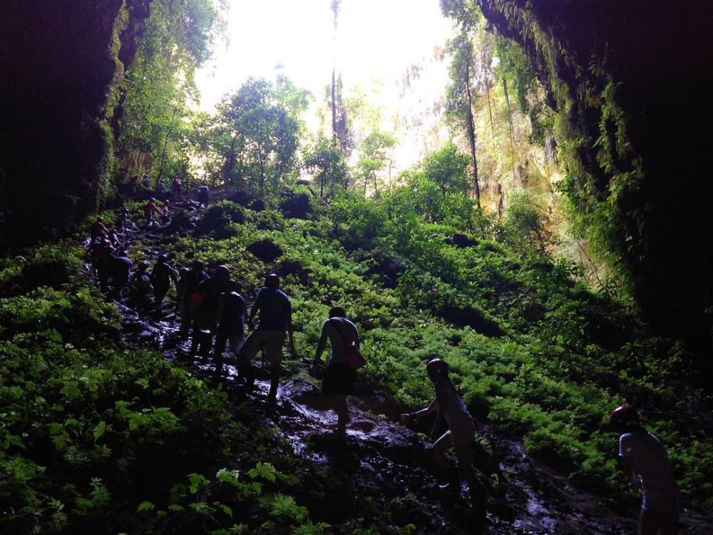 ancient forest of Goa Jomblang instagram jomblang cave id - 좀블랑 동굴 투어 - 천국의 빛 찾기 고아 좀블랑 - Goajomblang.com