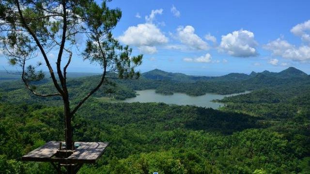 Hargowillis in Kulon Progo