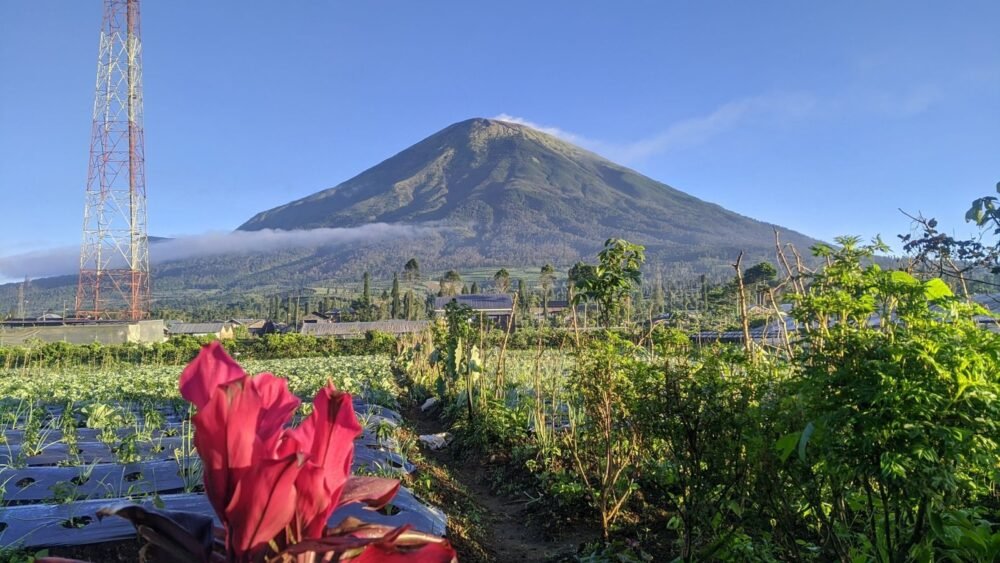 Mount Sumbing Sunrise Trekking (2 Days 1 Night, No Camping)