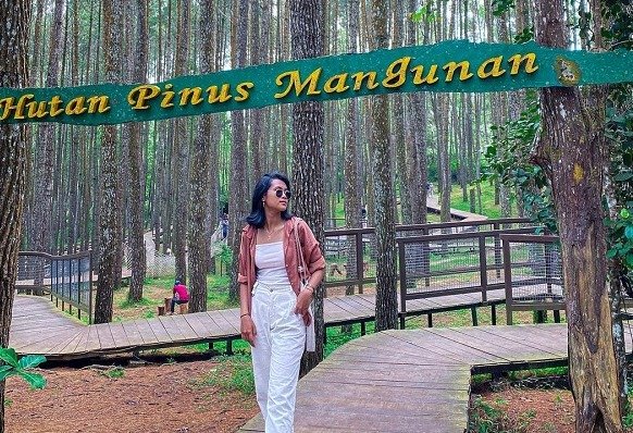Hutan Pinus Mangunan
